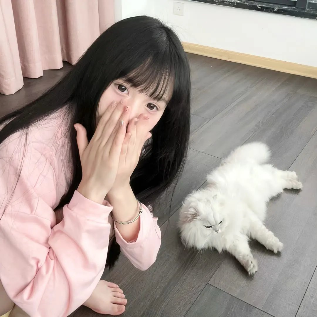 所有的猫都是灰色