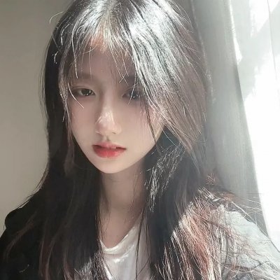 少数意见
